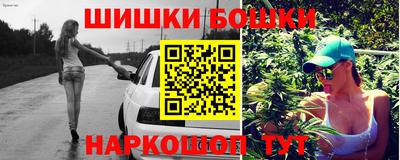 spice Славгород